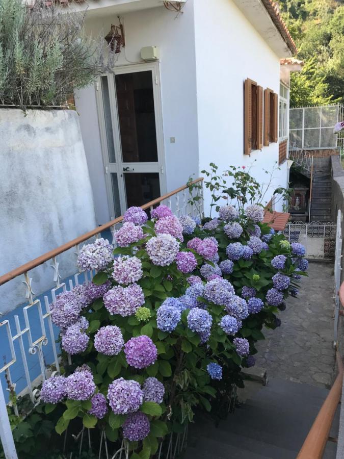 Appartamento Rosa Scala Exterior foto